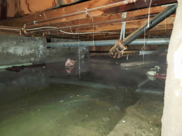 Sewage cleanup and water damage restoration in Pepper Pike, OH
