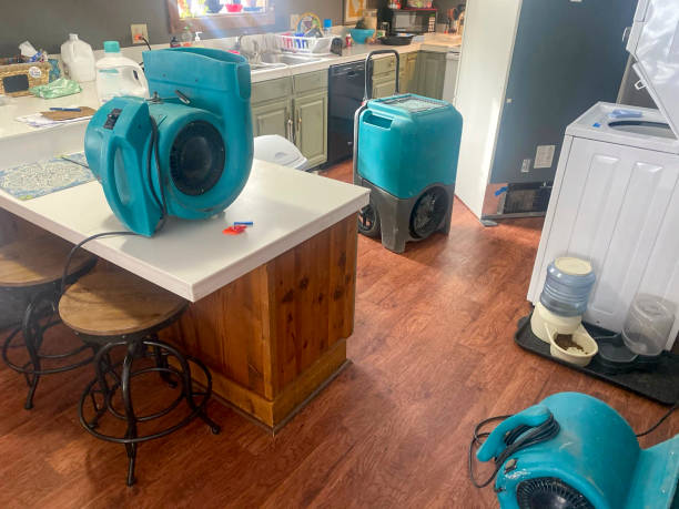 Best 24-hour water damage restoration  in Pepper Pike, OH