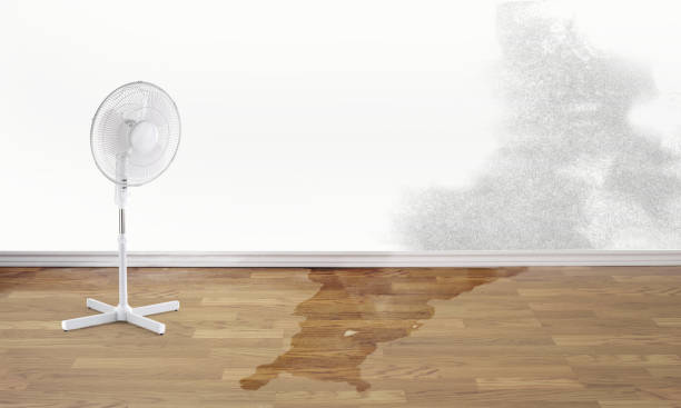 Best 24/7 water damage repair  in Pepper Pike, OH