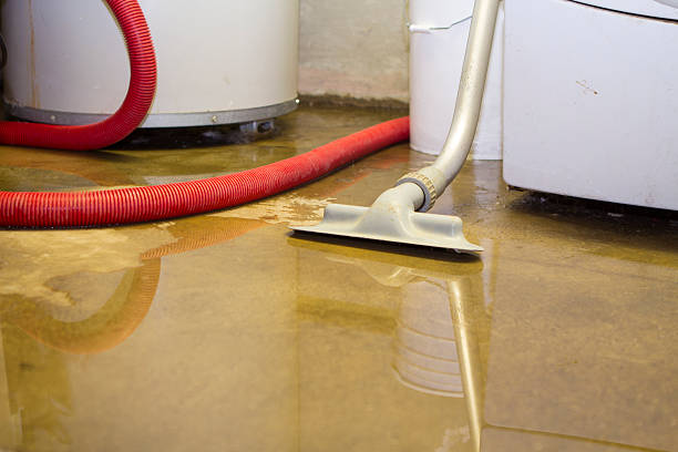 Best Water damage contractors near me  in Pepper Pike, OH