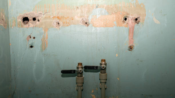 Trusted Pepper Pike, OH Water damage restoration Experts